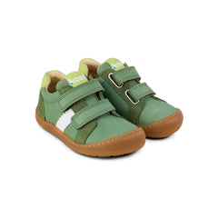 KOEL Denis Napa New 3.0