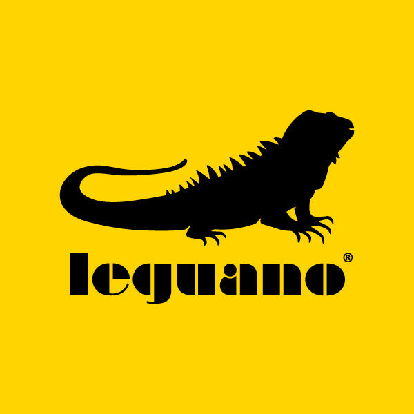 Leguano Barfußschuhe